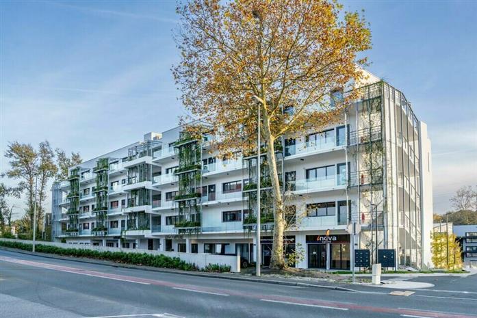 Chargement de l'image...