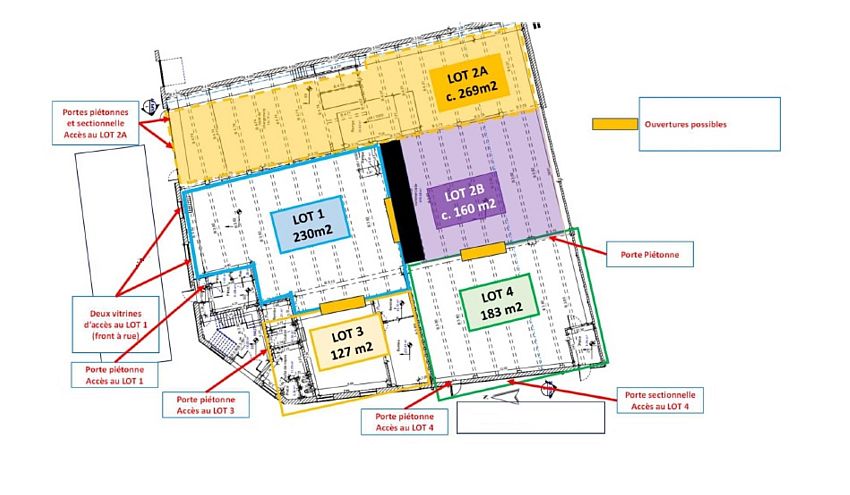 Local d'activités Location 59000 LILLE