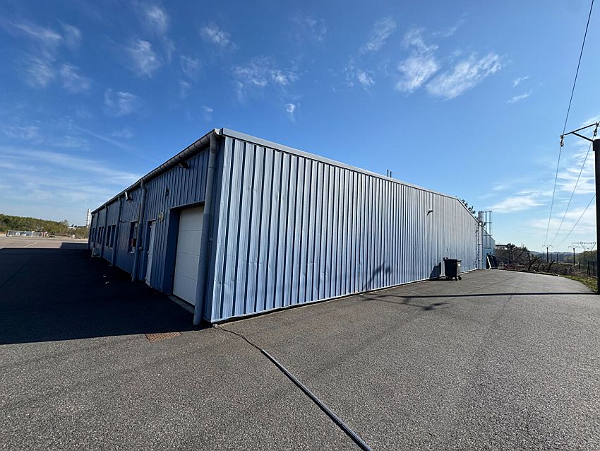 Local d'activités Vente 57500 SAINT AVOLD