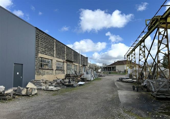 Local d'activités Vente 57385 TETING-SUR-NIED