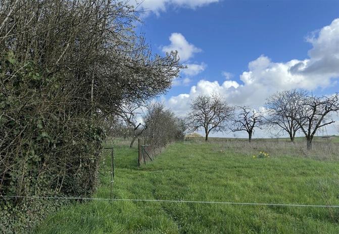 Local d'activités Vente 57385 TETING-SUR-NIED