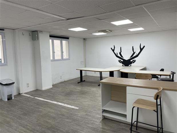 Local d'activités Location 69007 LYON