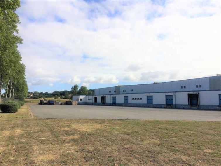 Entrepôt / Local d'activités Location 82170 GRISOLLES