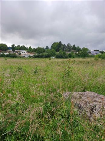 Terrain Vente 79400 AZAY-LE-BRÛLÉ
