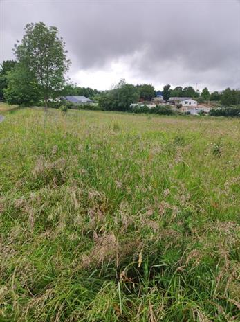 Terrain Vente 79400 AZAY LE BRULE