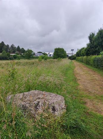 Terrain Vente 79400 AZAY LE BRULE