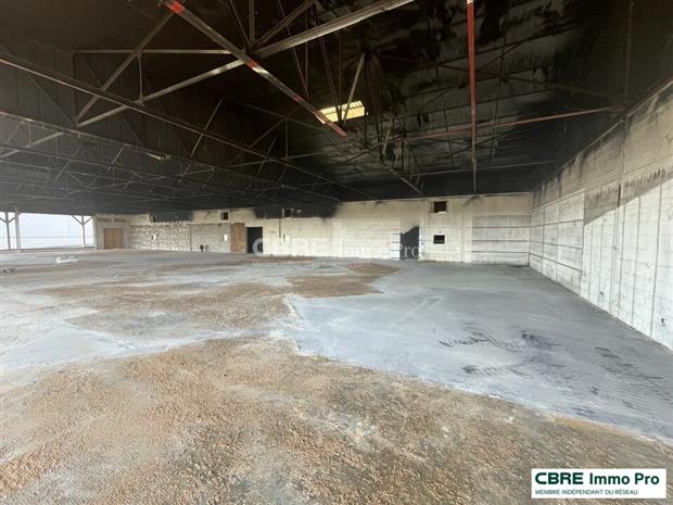 Commerce Vente 86360 CHASSENEUIL DU POITOU