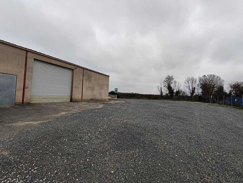 Local d'activités Location 86340 ROCHES PREMARIE ANDILLE