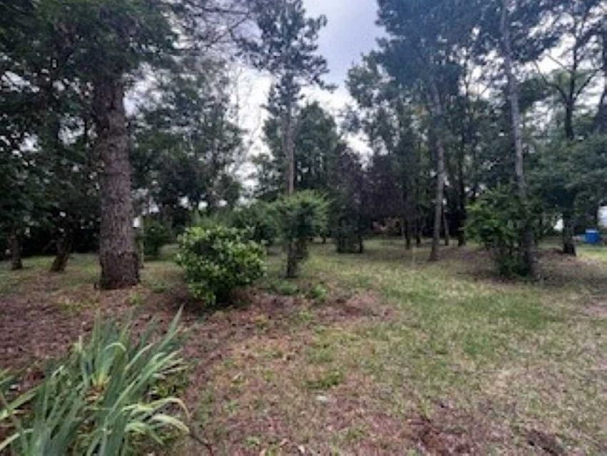 Terrain Vente 86360 CHASSENEUIL DU POITOU