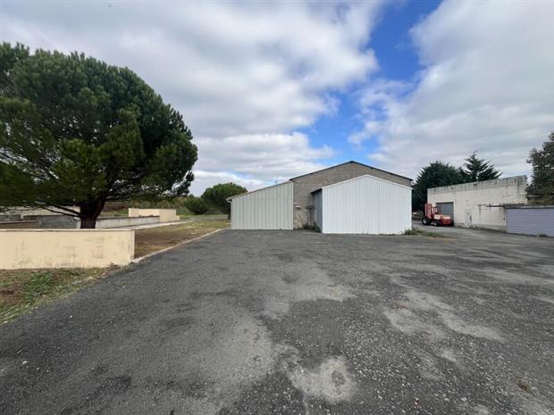 Local d'activités Vente 86530 NAINTRE